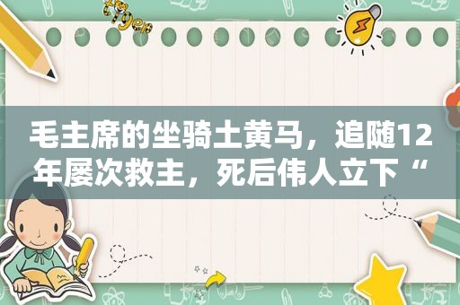 毛主席的坐骑土黄马，追随12年屡次救主，死后伟人立下“三不准”