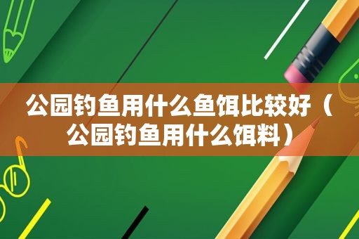 公园钓鱼用什么鱼饵比较好（公园钓鱼用什么饵料）