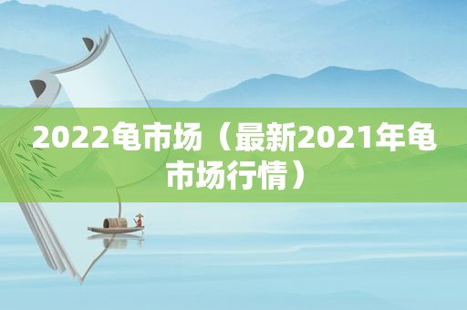 2022龟市场（最新2021年龟市场行情）