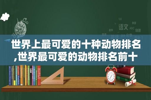 世界上最可爱的十种动物排名,世界最可爱的动物排名前十