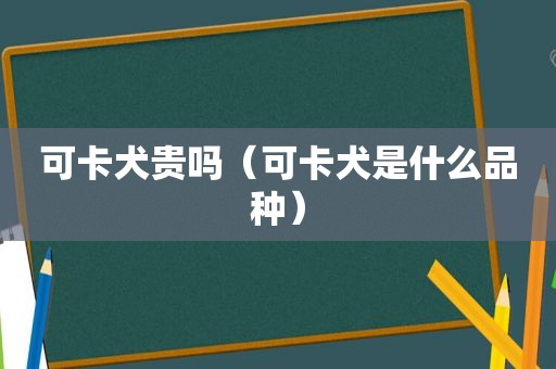 可卡犬贵吗（可卡犬是什么品种）