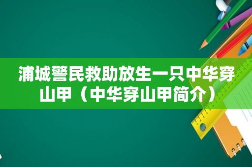 浦城警民救助放生一只中华穿山甲（中华穿山甲简介）