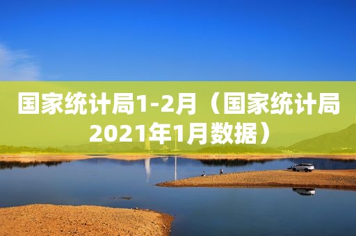 国家统计局1-2月（国家统计局2021年1月数据）