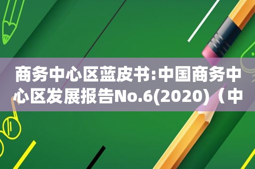 商务中心区蓝皮书:中国商务中心区发展报告No.6(2020)（中国商务中心区(cbd)发展报告）