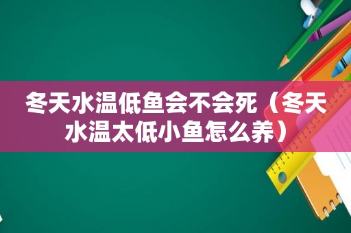 冬天水温低鱼会不会死（冬天水温太低小鱼怎么养）