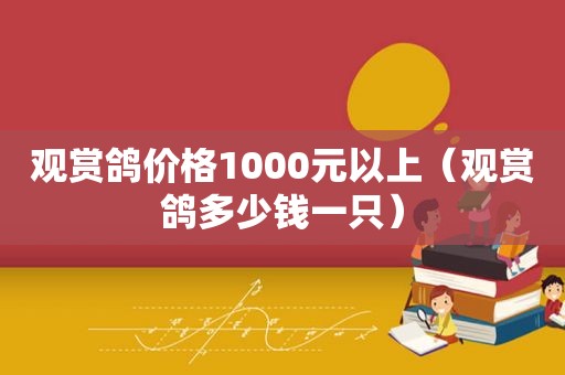 观赏鸽价格1000元以上（观赏鸽多少钱一只）