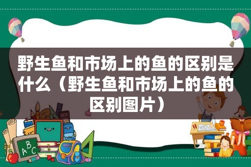 野生鱼和市场上的鱼的区别是什么（野生鱼和市场上的鱼的区别图片）