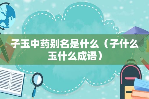 子玉中药别名是什么（子什么玉什么成语）