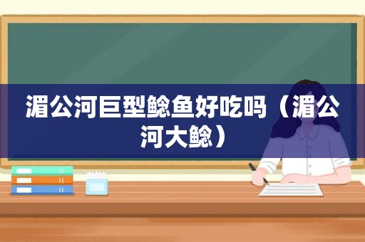 湄公河巨型鲶鱼好吃吗（湄公河大鲶）