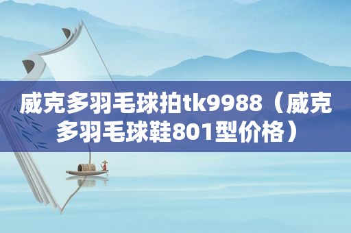 威克多羽毛球拍tk9988（威克多羽毛球鞋801型价格）