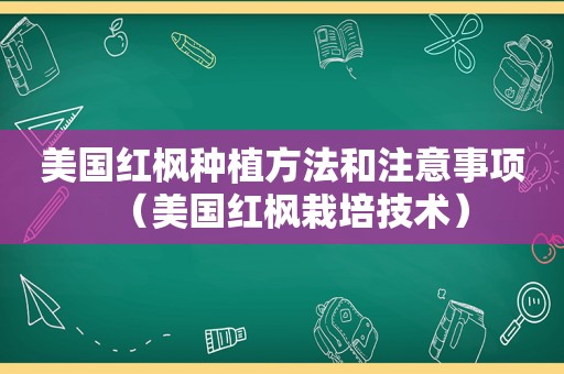 美国红枫种植方法和注意事项（美国红枫栽培技术）