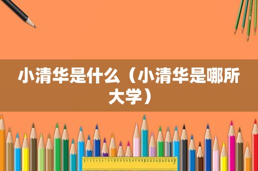 小清华是什么（小清华是哪所大学）