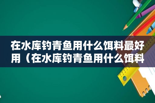 在水库钓青鱼用什么饵料最好用（在水库钓青鱼用什么饵料最好钓）