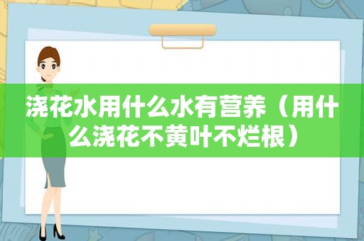 浇花水用什么水有营养（用什么浇花不黄叶不烂根）