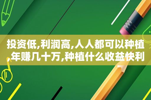 投资低,利润高,人人都可以种植,年赚几十万,种植什么收益快利润高