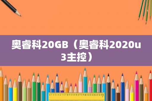 奥睿科20GB（奥睿科2020u3主控）