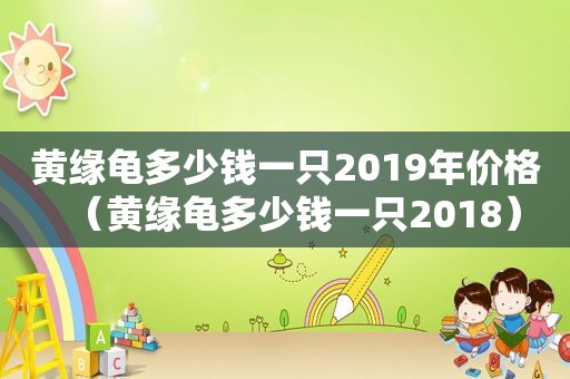 黄缘龟多少钱一只2019年价格（黄缘龟多少钱一只2018）