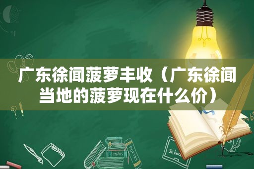 广东徐闻菠萝丰收（广东徐闻当地的菠萝现在什么价）