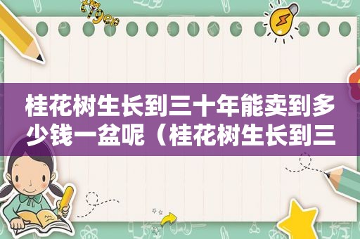 桂花树生长到三十年能卖到多少钱一盆呢（桂花树生长到三十年能卖到多少钱一盆花）