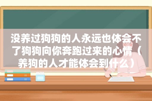 没养过狗狗的人永远也体会不了狗狗向你奔跑过来的心情（养狗的人才能体会到什么）