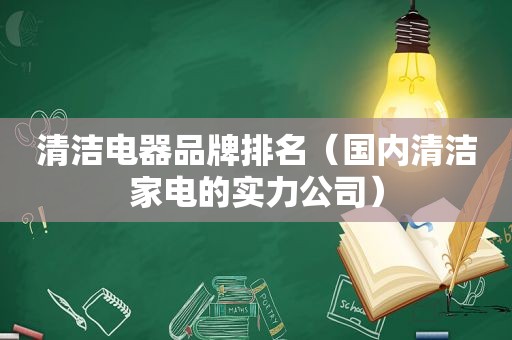 清洁电器品牌排名（国内清洁家电的实力公司）