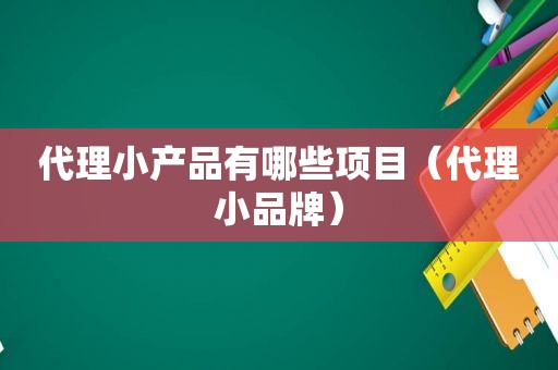 代理小产品有哪些项目（代理小品牌）