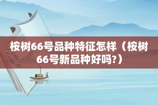 桉树66号品种特征怎样（桉树66号新品种好吗?）