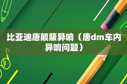 比亚迪唐颠簸异响（唐dm车内异响问题）