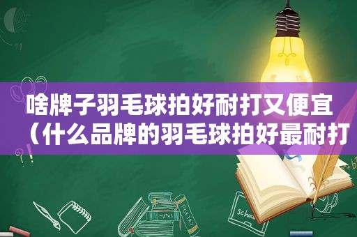 啥牌子羽毛球拍好耐打又便宜（什么品牌的羽毛球拍好最耐打）