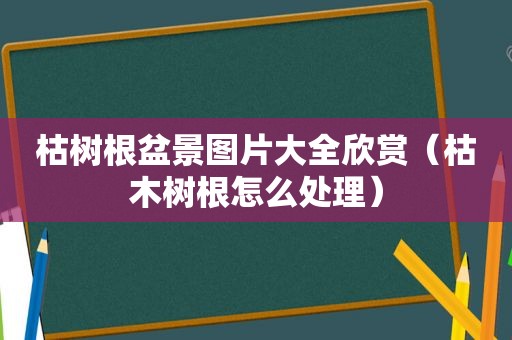 枯树根盆景图片大全欣赏（枯木树根怎么处理）