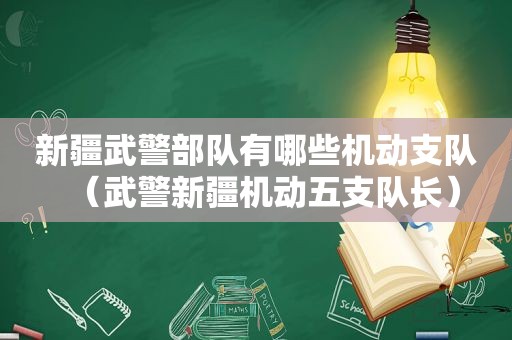 新疆武警部队有哪些机动支队（武警新疆机动五支队长）