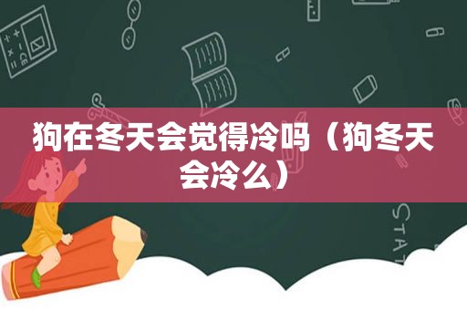 狗在冬天会觉得冷吗（狗冬天会冷么）