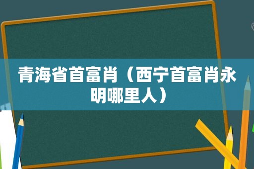 青海省首富肖（西宁首富肖永明哪里人）