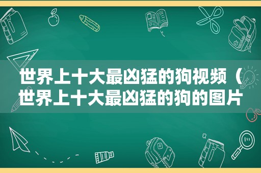 世界上十大最凶猛的狗视频（世界上十大最凶猛的狗的图片）