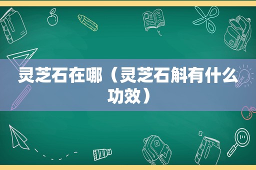 灵芝石在哪（灵芝石斛有什么功效）