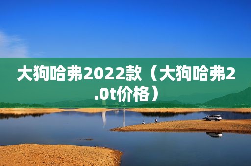 大狗哈弗2022款（大狗哈弗2.0t价格）