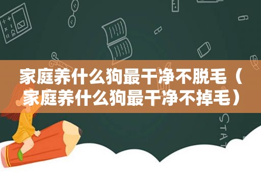 家庭养什么狗最干净不脱毛（家庭养什么狗最干净不掉毛）