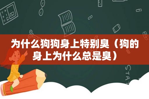 为什么狗狗身上特别臭（狗的身上为什么总是臭）