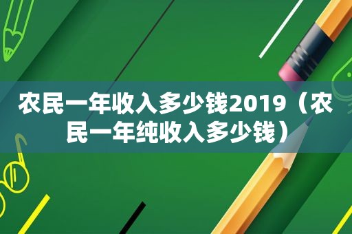 农民一年收入多少钱2019（农民一年纯收入多少钱）