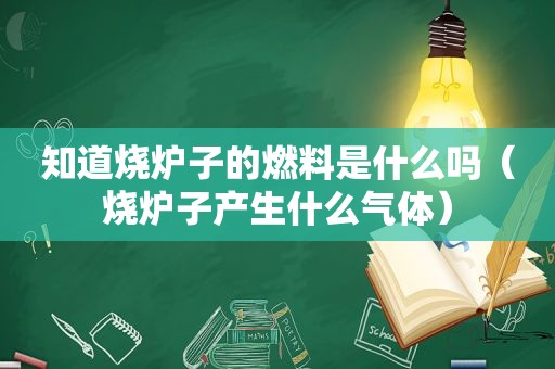 知道烧炉子的燃料是什么吗（烧炉子产生什么气体）