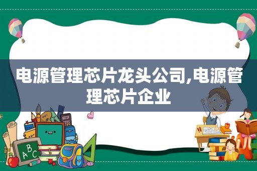 电源管理芯片龙头公司,电源管理芯片企业