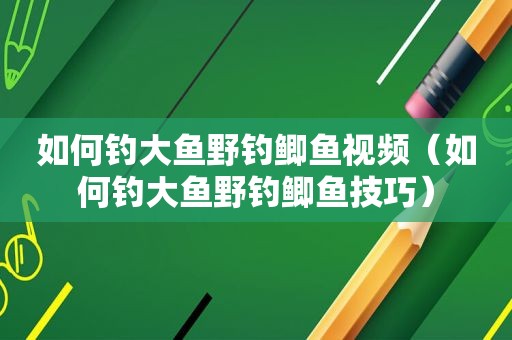 如何钓大鱼野钓鲫鱼视频（如何钓大鱼野钓鲫鱼技巧）