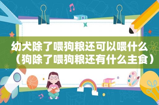 幼犬除了喂狗粮还可以喂什么（狗除了喂狗粮还有什么主食）