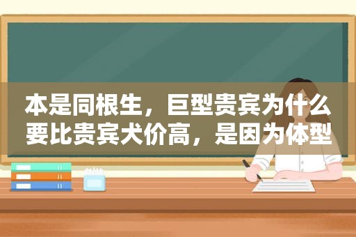 本是同根生，巨型贵宾为什么要比贵宾犬价高，是因为体型的原因？