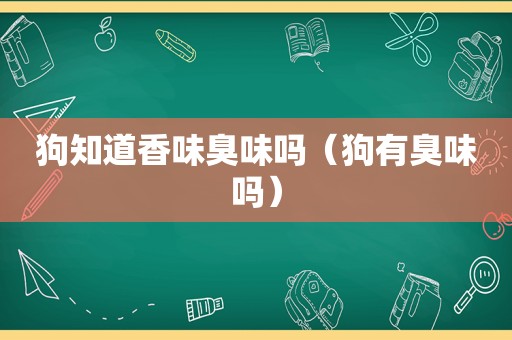 狗知道香味臭味吗（狗有臭味吗）