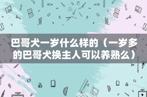 巴哥犬一岁什么样的（一岁多的巴哥犬换主人可以养熟么）