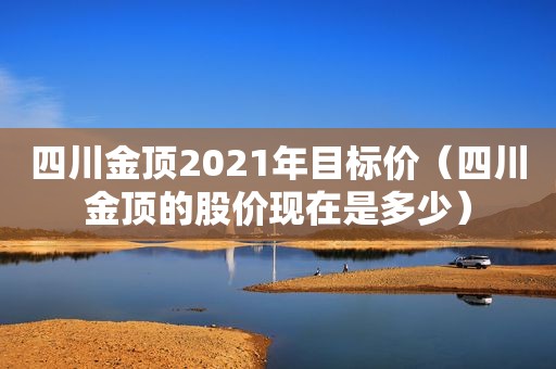 四川金顶2021年目标价（四川金顶的股价现在是多少）