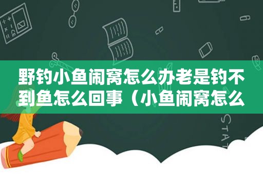 野钓小鱼闹窝怎么办老是钓不到鱼怎么回事（小鱼闹窝怎么钓鲤鱼）