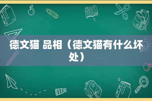 德文猫 品相（德文猫有什么坏处）