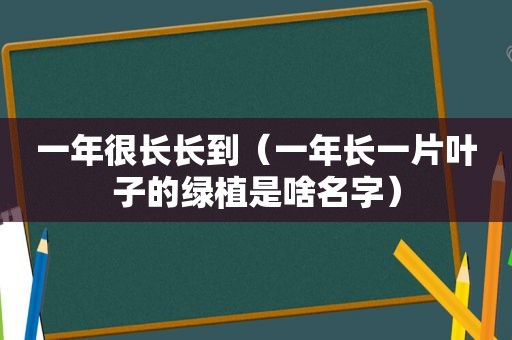 一年很长长到（一年长一片叶子的绿植是啥名字）